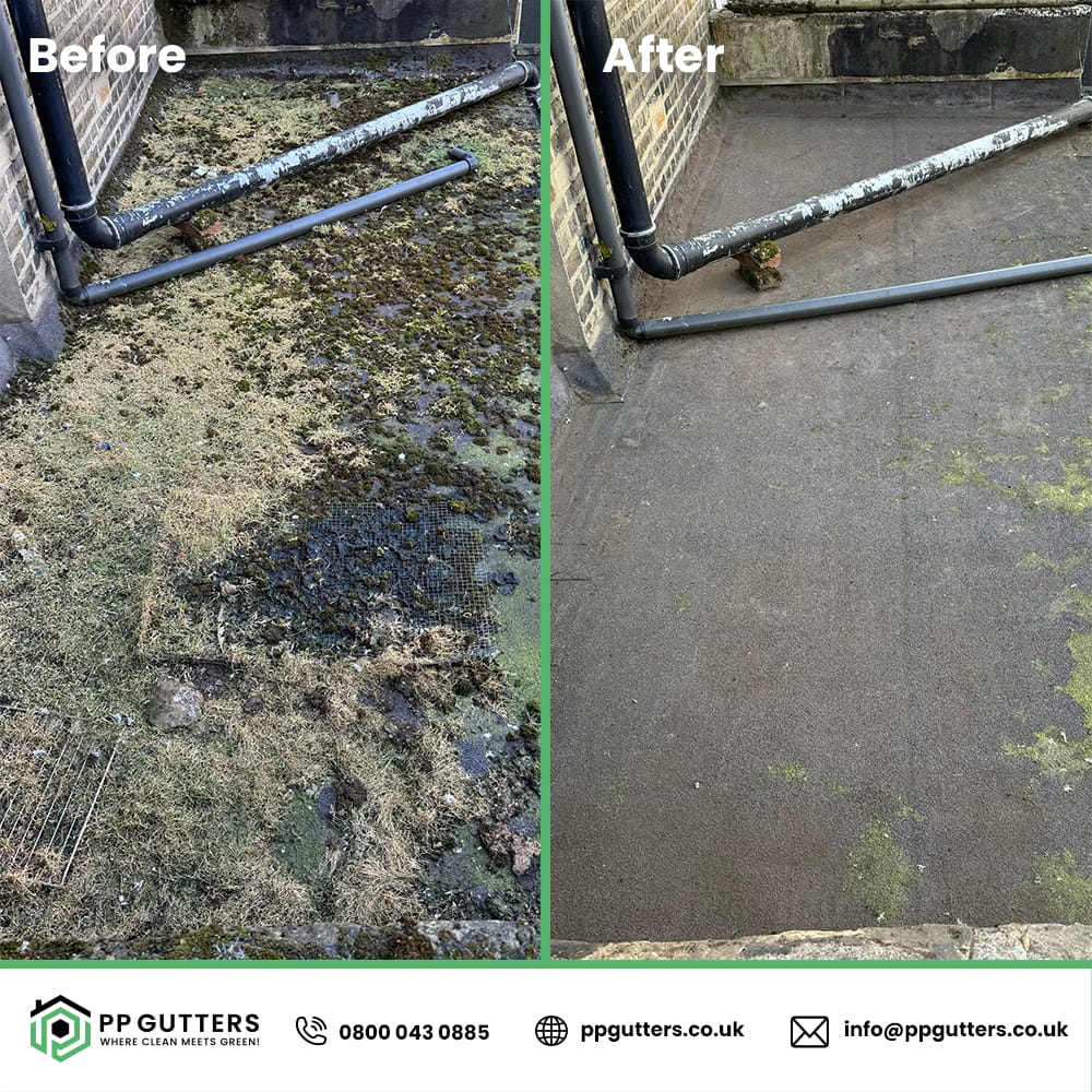 Commercial Roof Moss Removal