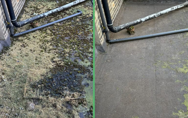 Commercial Roof Moss Removal