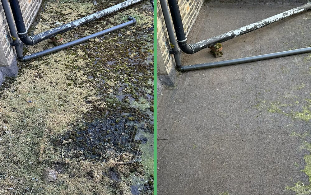 Commercial Roof Moss Removal