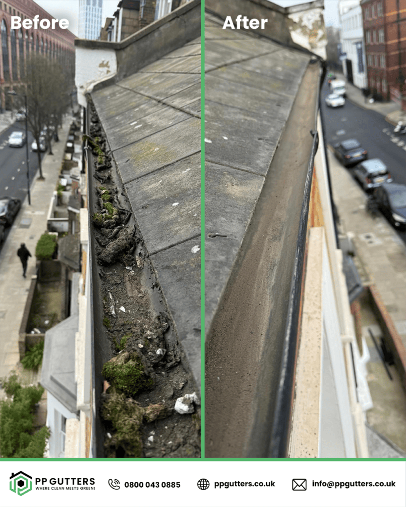 Residential Gutter Cleaning