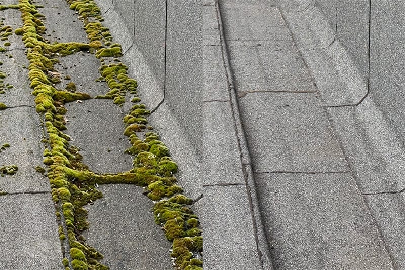 Commercial Roof Surface Cleaning