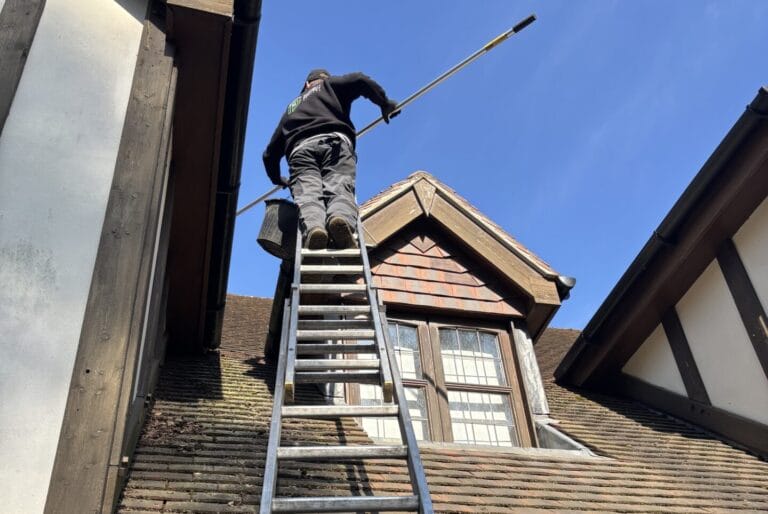 Residential Gutter Cleaning