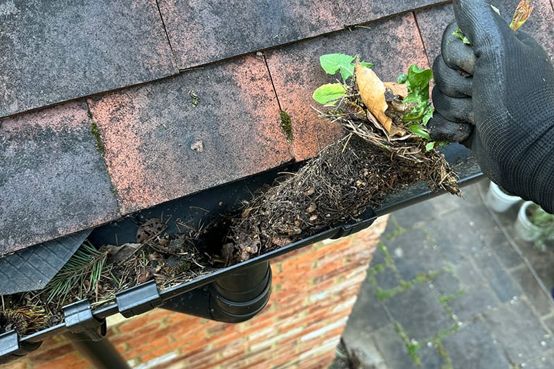Residential Downpipe Cleaning